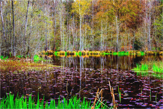 Main image Breitsee im Frühling